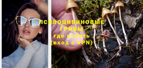 соль ск Нея