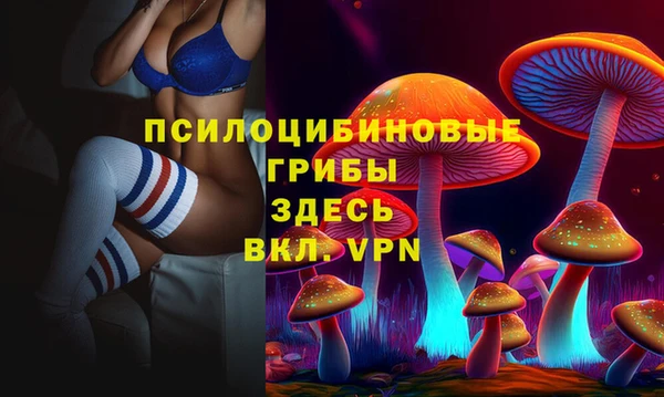 Альфа ПВП Новодвинск