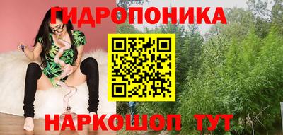 дурь Берёзовский