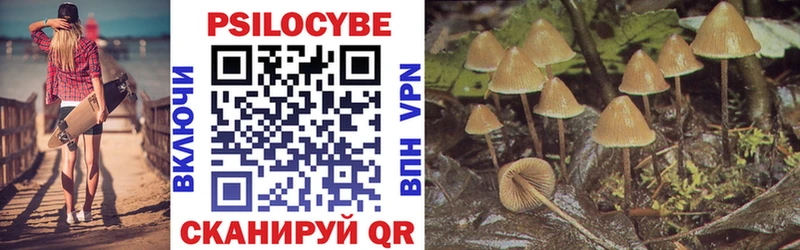 Галлюциногенные грибы Magic Shrooms  Павлово 