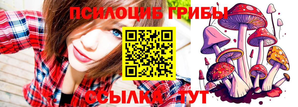 Галлюциногенные грибы мицелий Павлово