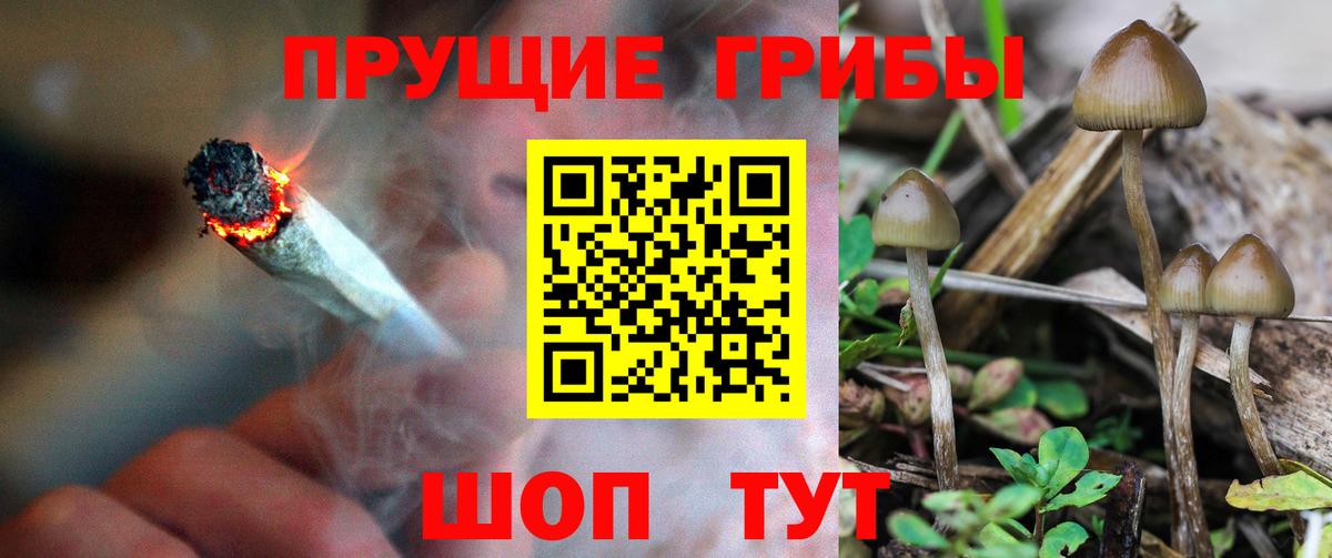 Павлово  Галлюциногенные грибы GOLDEN TEACHER  Вход с VPN 