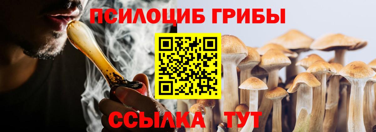 Псилоцибиновые грибы MAGIC MUSHROOMS Павлово